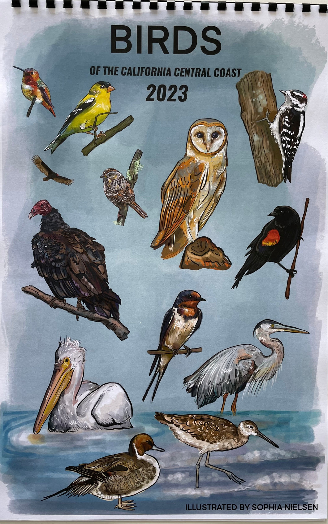 2023 Hanging Calendar: Birds of the California Central Coast